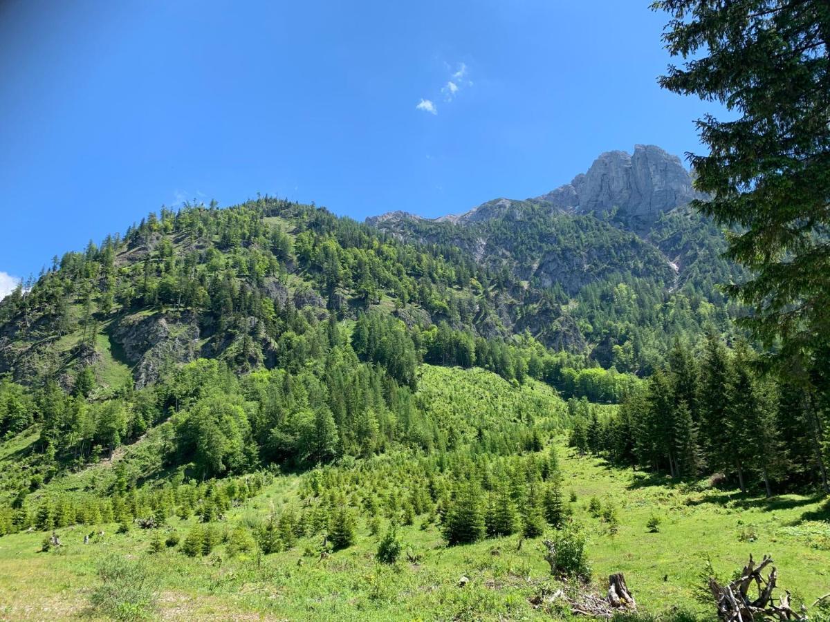 Apartment Kumitzblick Obersdorf Esterno foto